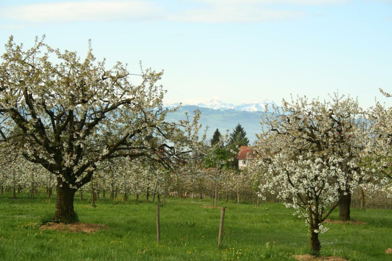 Villa Linke Am Bodensee Nonnenhorn Bagian luar foto